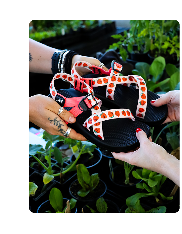 CHACO Strawb farmers market Z1 Classic