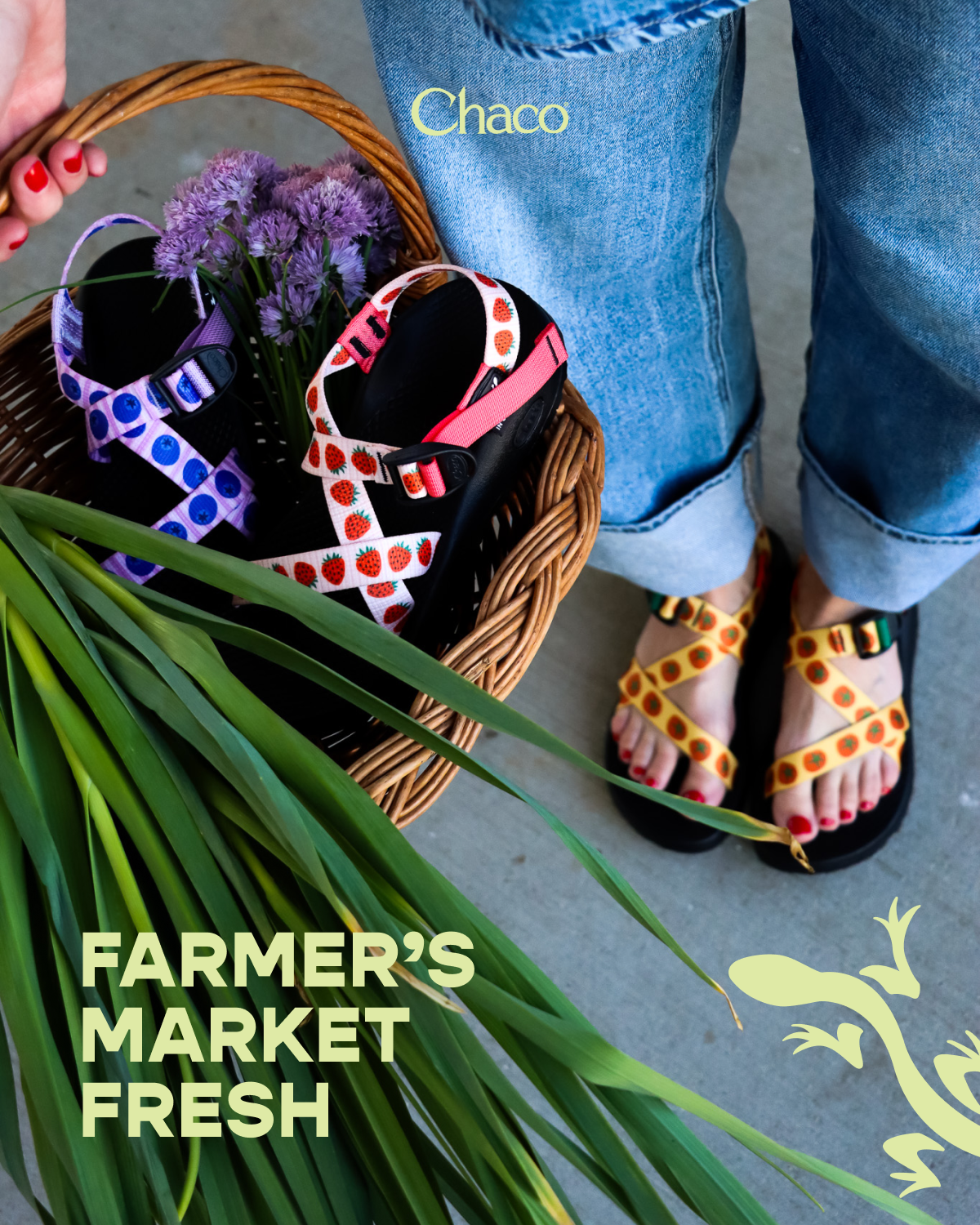 Chaco - Farmers market fresh