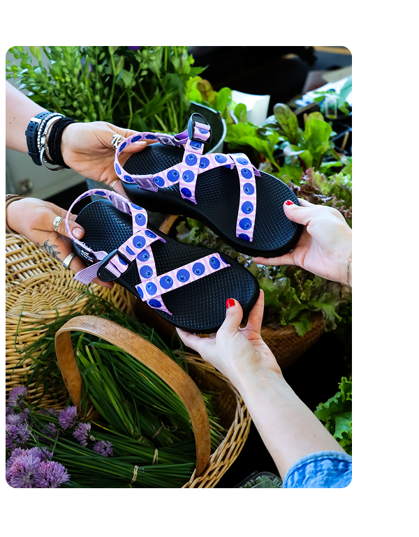 CHACO Bloob farmers market Z1 Classic
