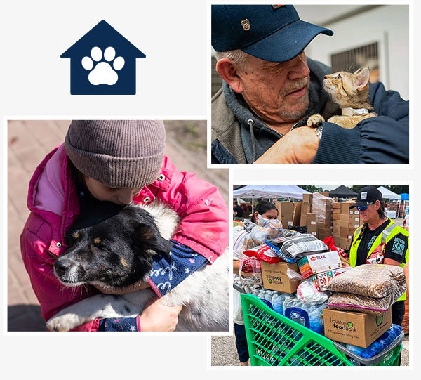 Struggling families with their pets.