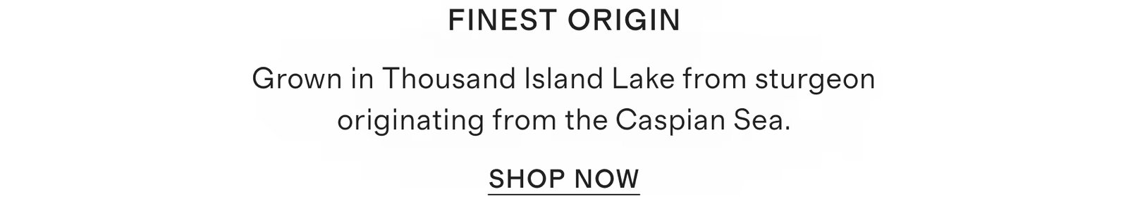 Finest origin Grown in Thousand Island Lake from sturgeon originating from the Caspian Sea.