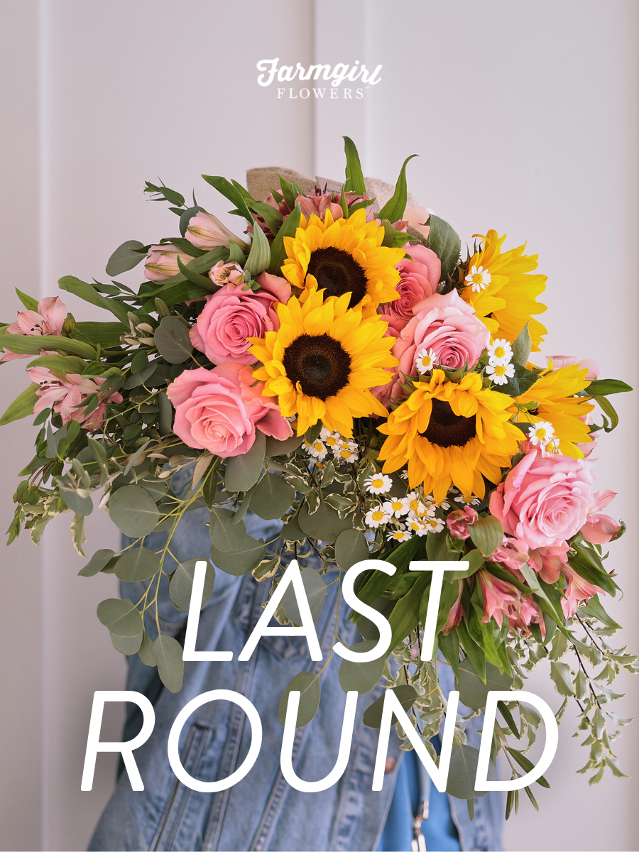 Farmgirl Flowers campaign image showing a large bouquet with bright yellow sunflowers, pink roses, small white daisies, greenery, and eucalyptus held in front of someone wearing denim. White text over the image reads “Last Round,” with the Farmgirl Flowers logo near the top.