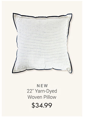 22" Yarn-Dyed Woven Pillow