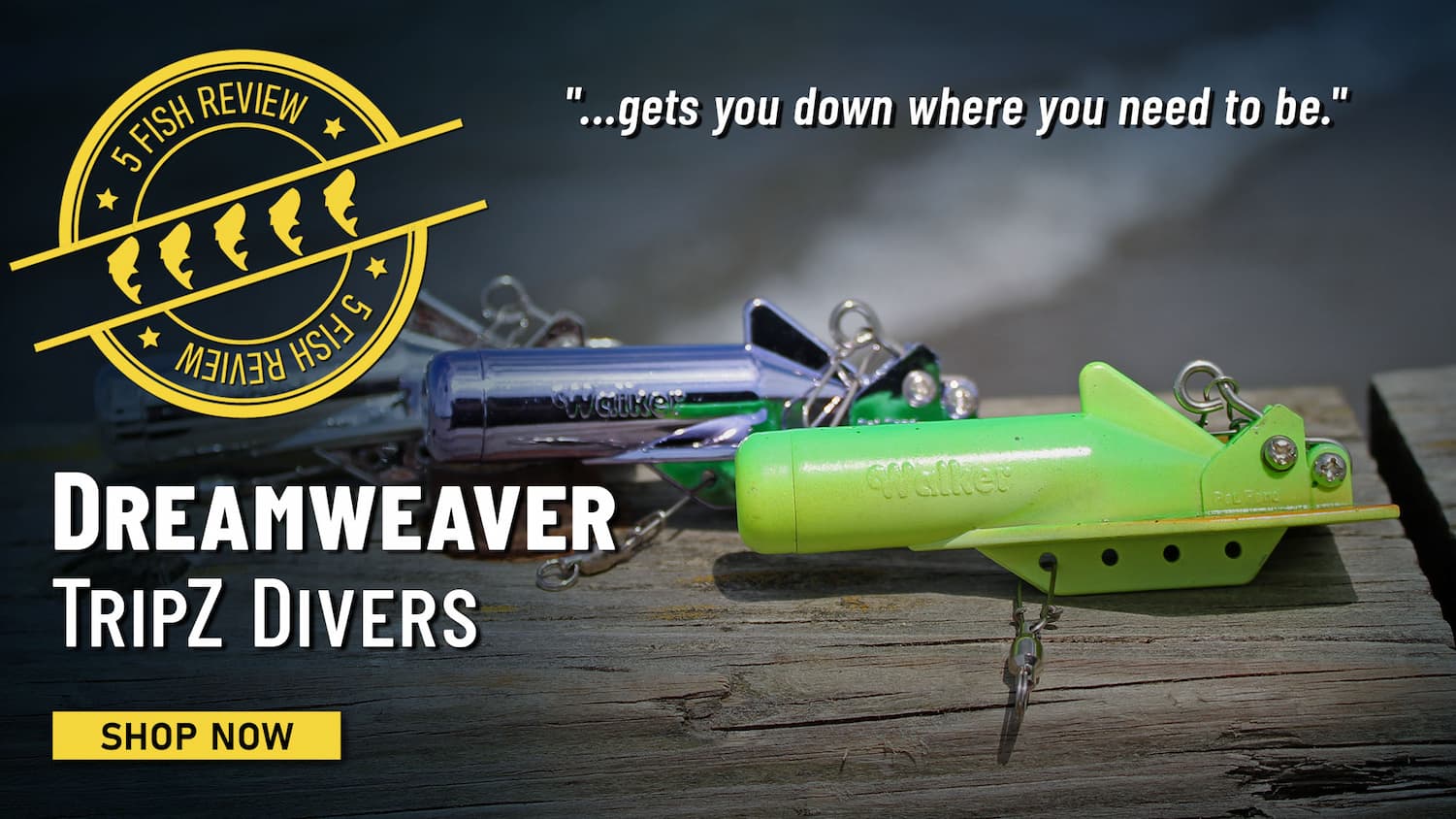 5 Fish Review Dreamweaver TripZ Divers "...gets you down where you need to be." Shop Now