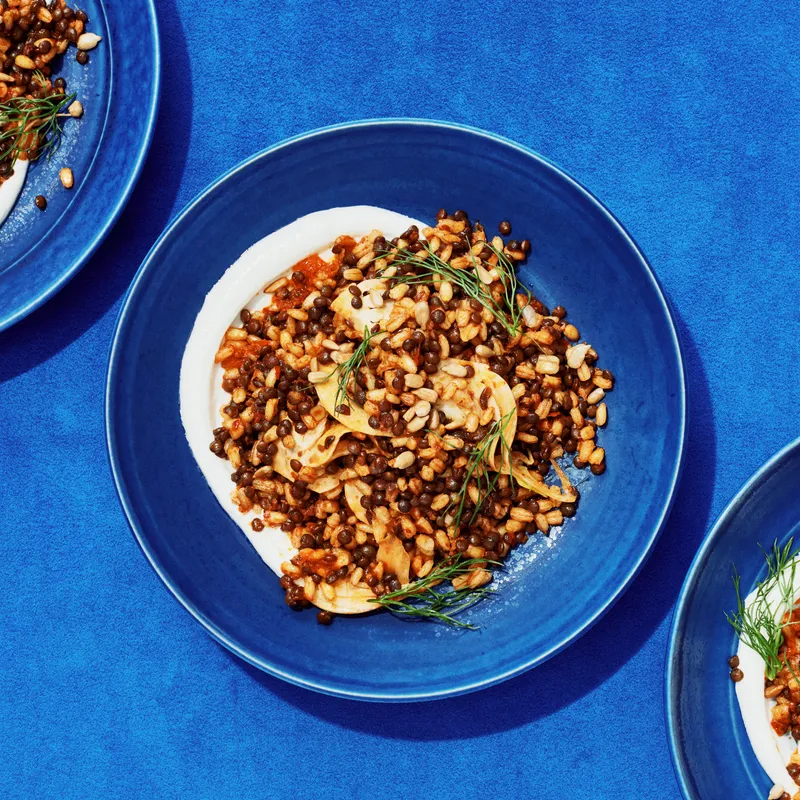 Three bowls of spiced barley and lentils with sliced fennel, a harissa dressing, and fennel fronds.