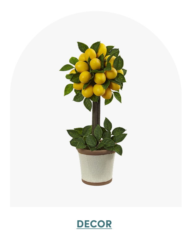 Shop Decor