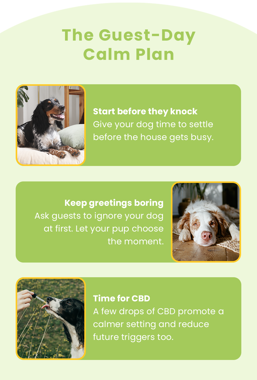 Start before they knock Give your dog time to settle before the house gets busy. **Keep greetings boring** Ask guests to ignore your dog at first. Let your pup choose the moment.  Time for CBD A few drops of CBD promote a calmer setting and reduce future triggers too.