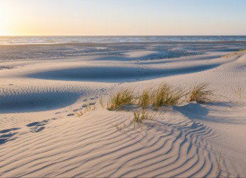 Blick auf einen Strand in Dänemark mit endlosen Sanddünen.