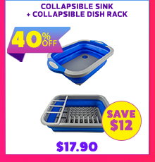 Collapsible Sink + Collapsible Dish Rack