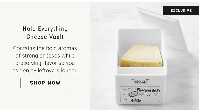 Hold Everything Cheese Vault - shop now