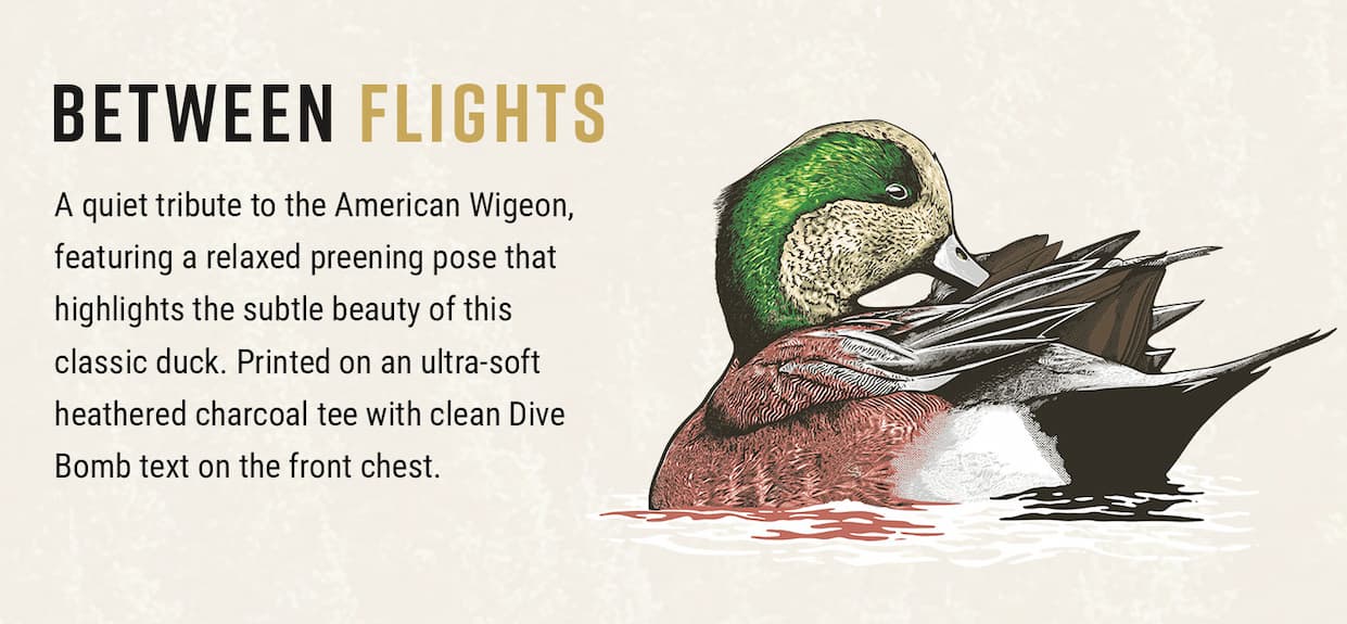 Between Flights- A quiet tribute to the American Wigeon, featuring a relaxed preening pose that highlights the subtle beauty of this classic duck. Printed on an ultra-soft heathers charcoal tee with clean Dive Bomb text on the front chest.