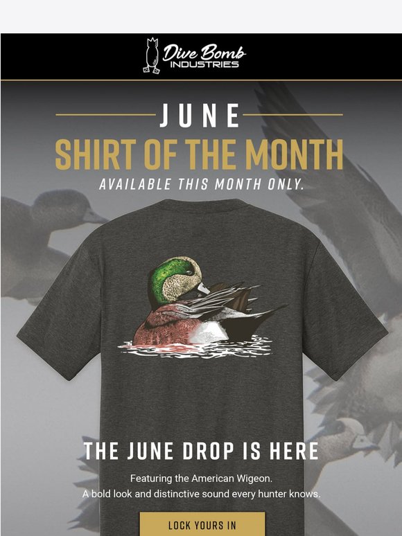 This Wigeon Is One You Don’t Want to Miss