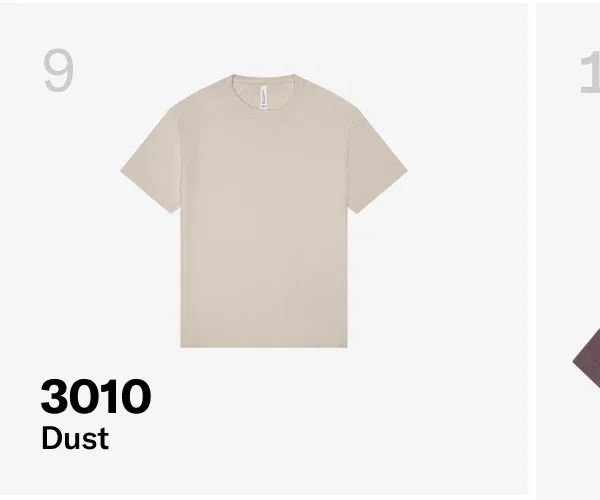 3010 - Dust