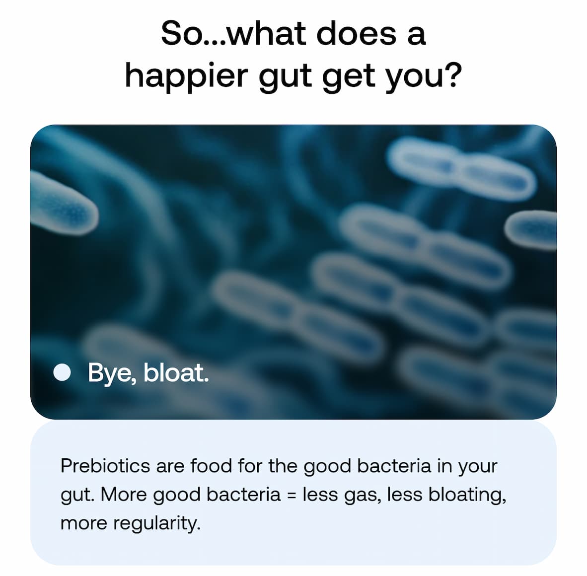 So… what does a happier gut get you? Bye, bloat. Prebiotics are food for the good bacteria in your gut. More good bacteria = less gas, less bloating, more regularity.