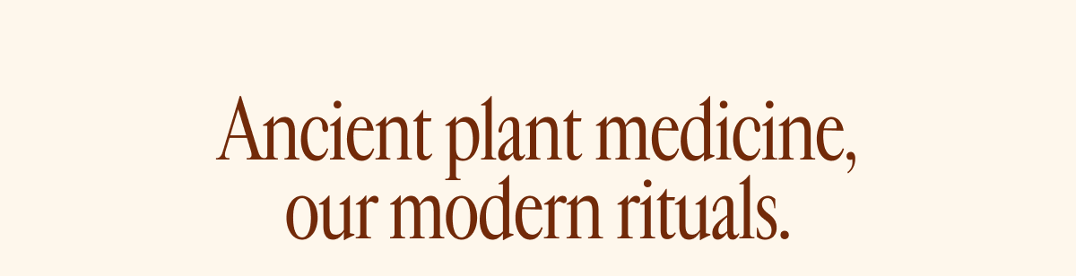 Ancient plant medicine, our modern rituals