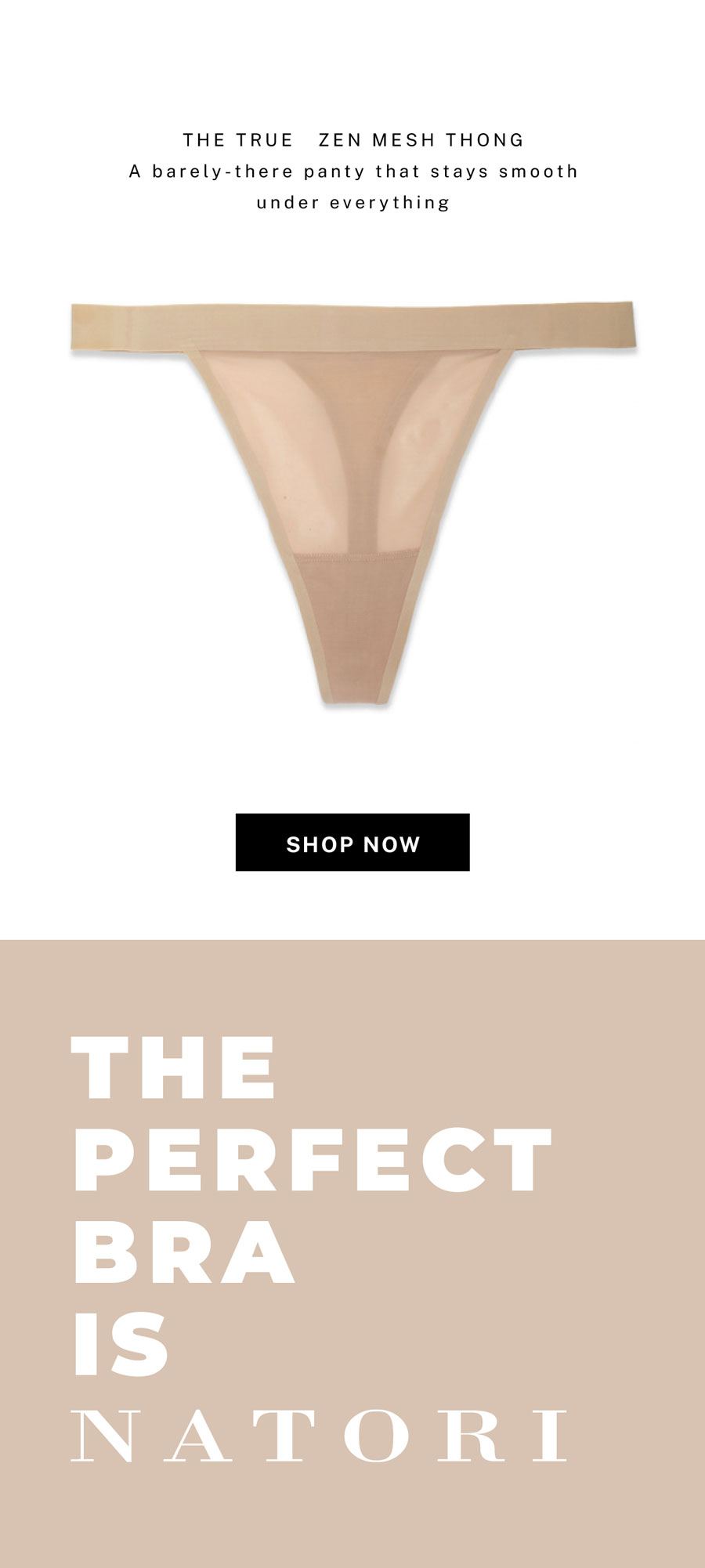 The True Zen Mesh Thong