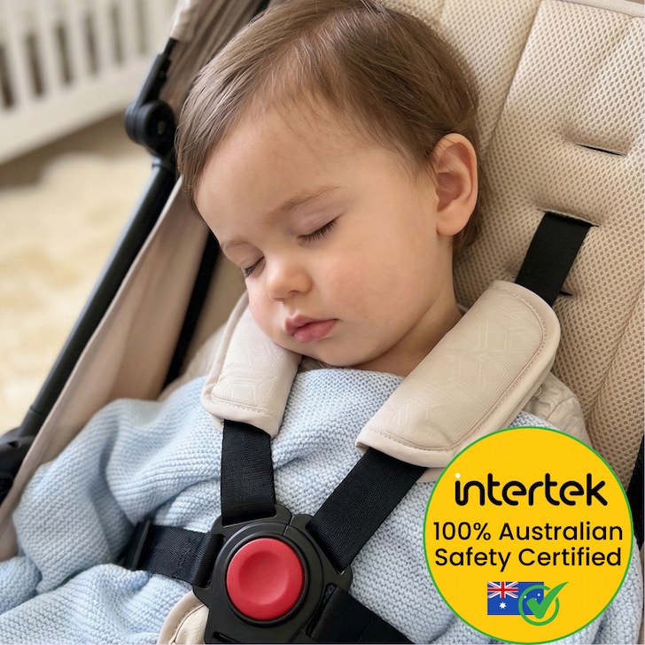 A child asleep in his stroller