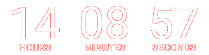 Countdown Timer