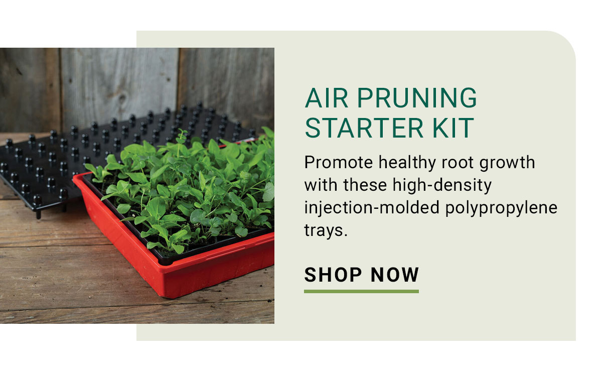 Air Pruning Starter Kit