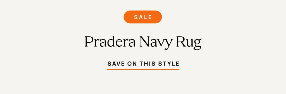 Pradera Navy Rug | Save on this Style