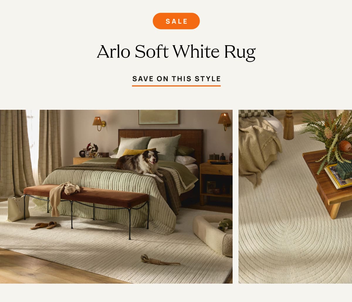 Arlo Soft White Rug | Save On This Style