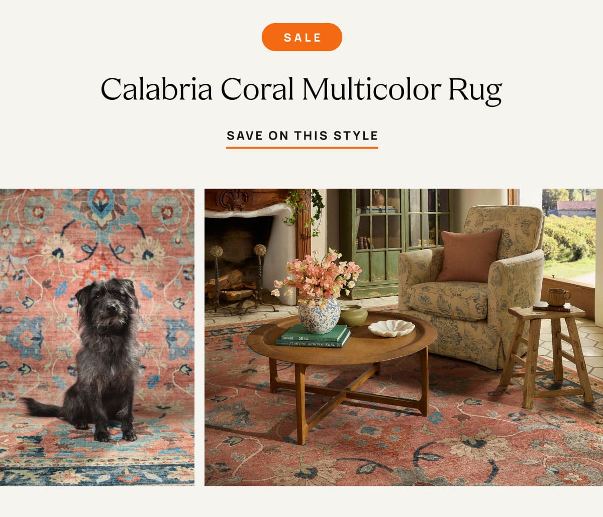 Calabria Coral Multicolor Rug | Save On This Style