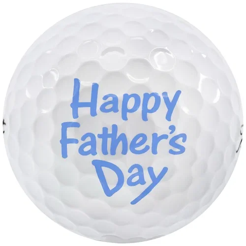 AVX 2024 Happy Father's Day