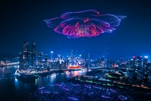 Drone Show