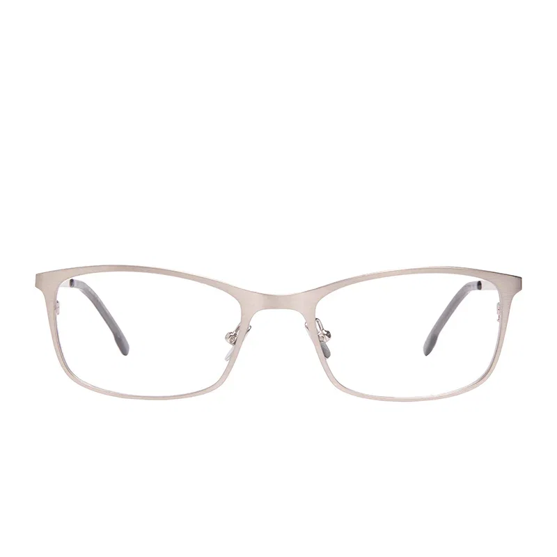 Image of BERNIE - BRUSHED SILVER + GLASSES