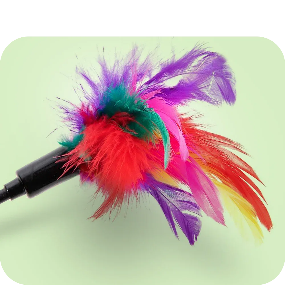 Cat Toys