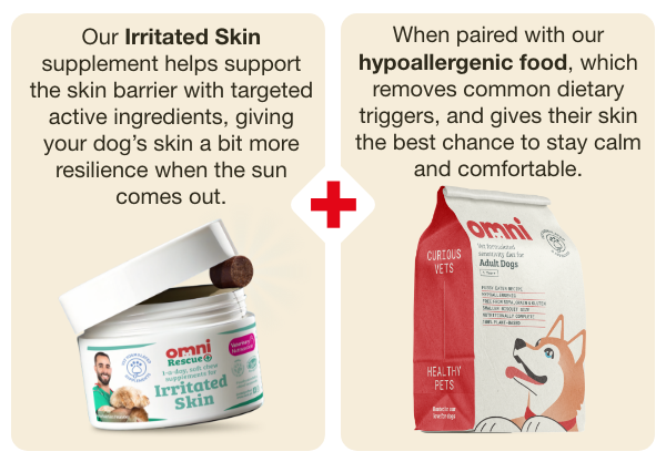 Skin and Dry food combination