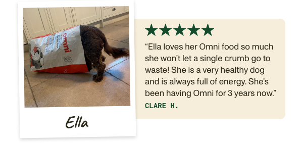 Omni dry food review