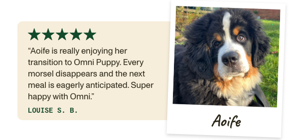 Omni puppy food review