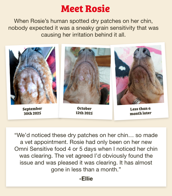 Rosie feedback