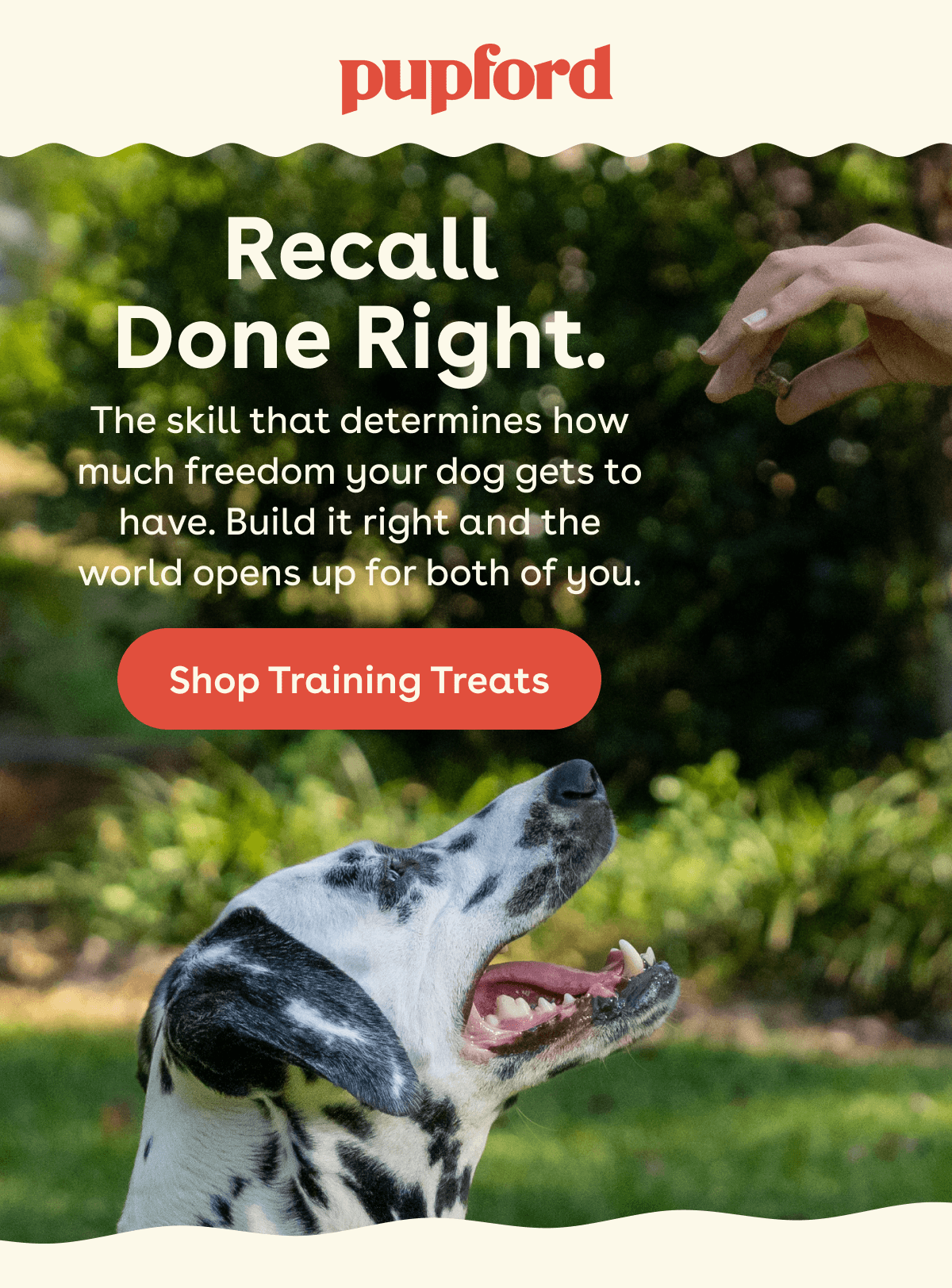Shop training treats 