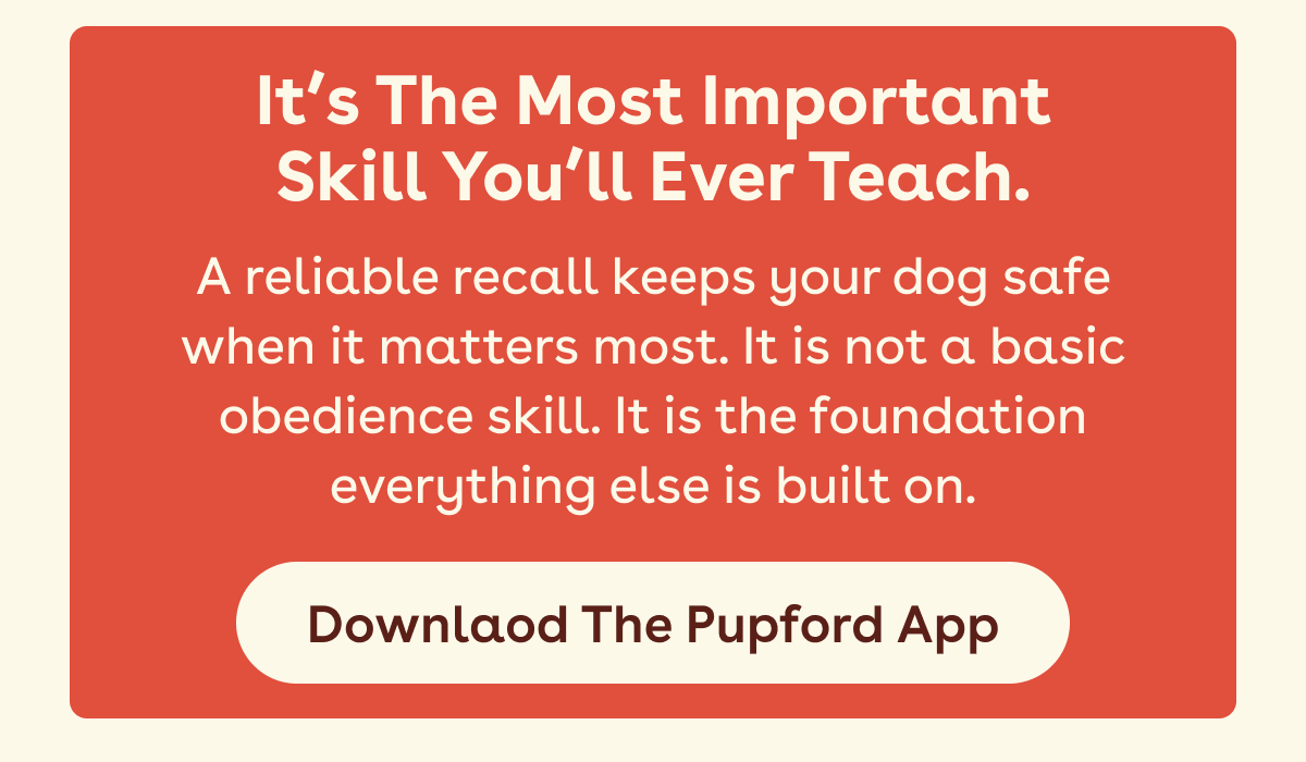 DOwnload the app