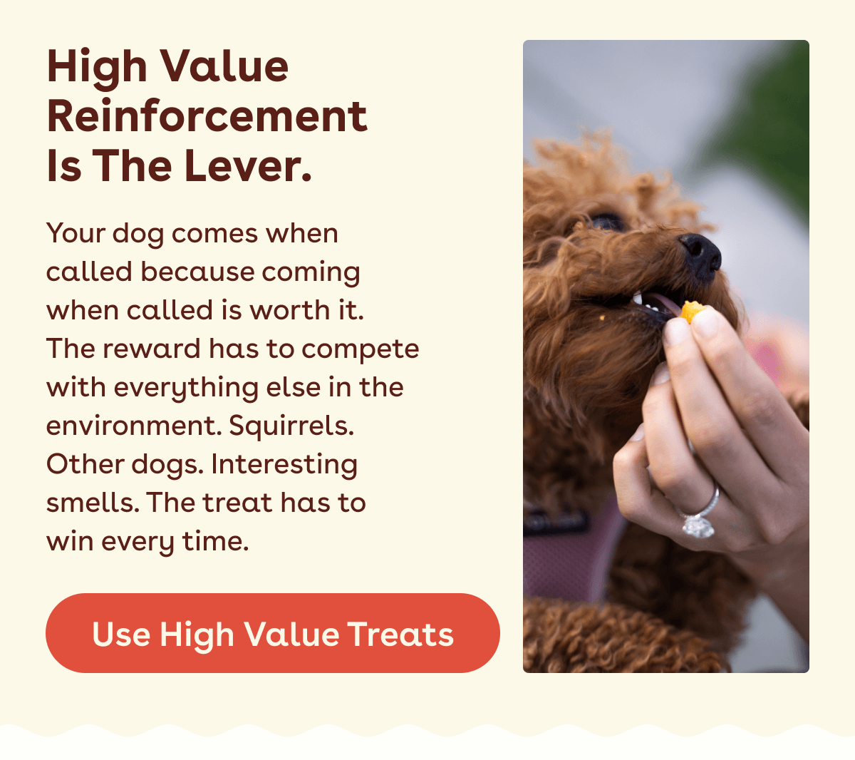 Use high value treats