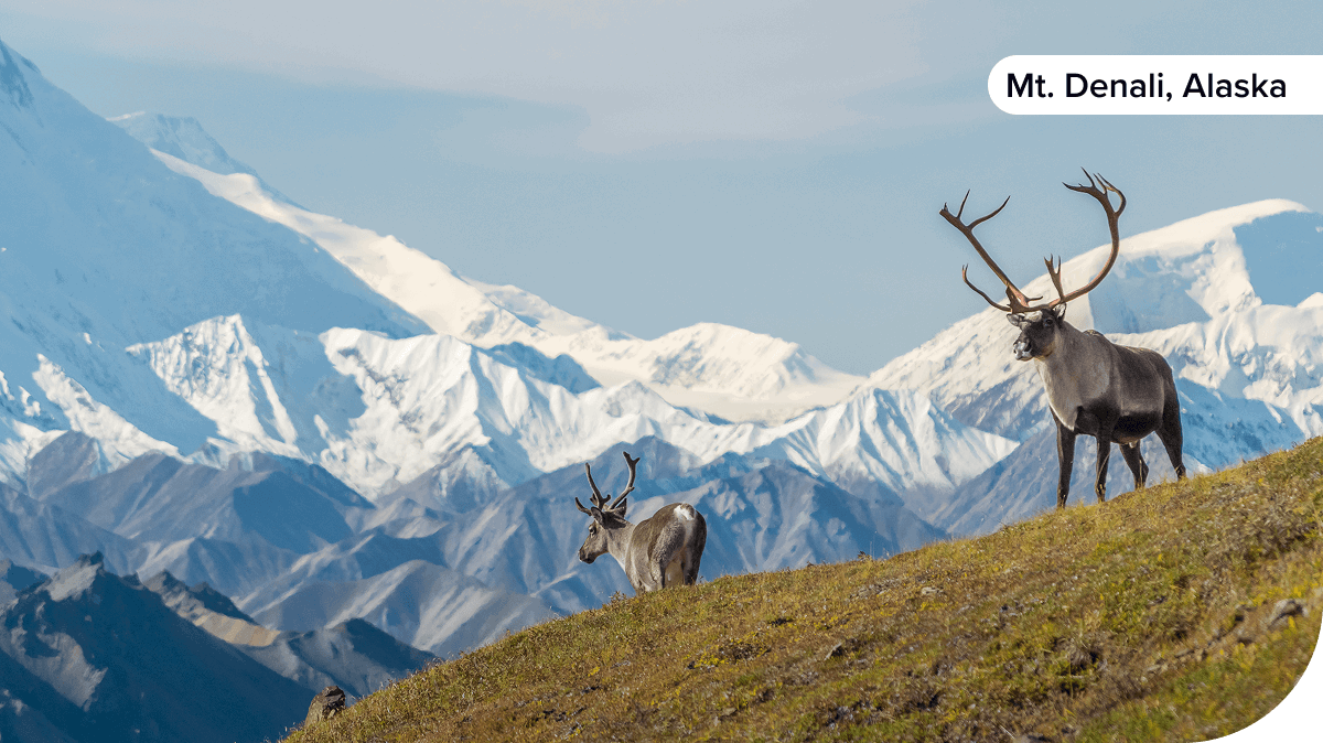 Mt. Denali, Alaska