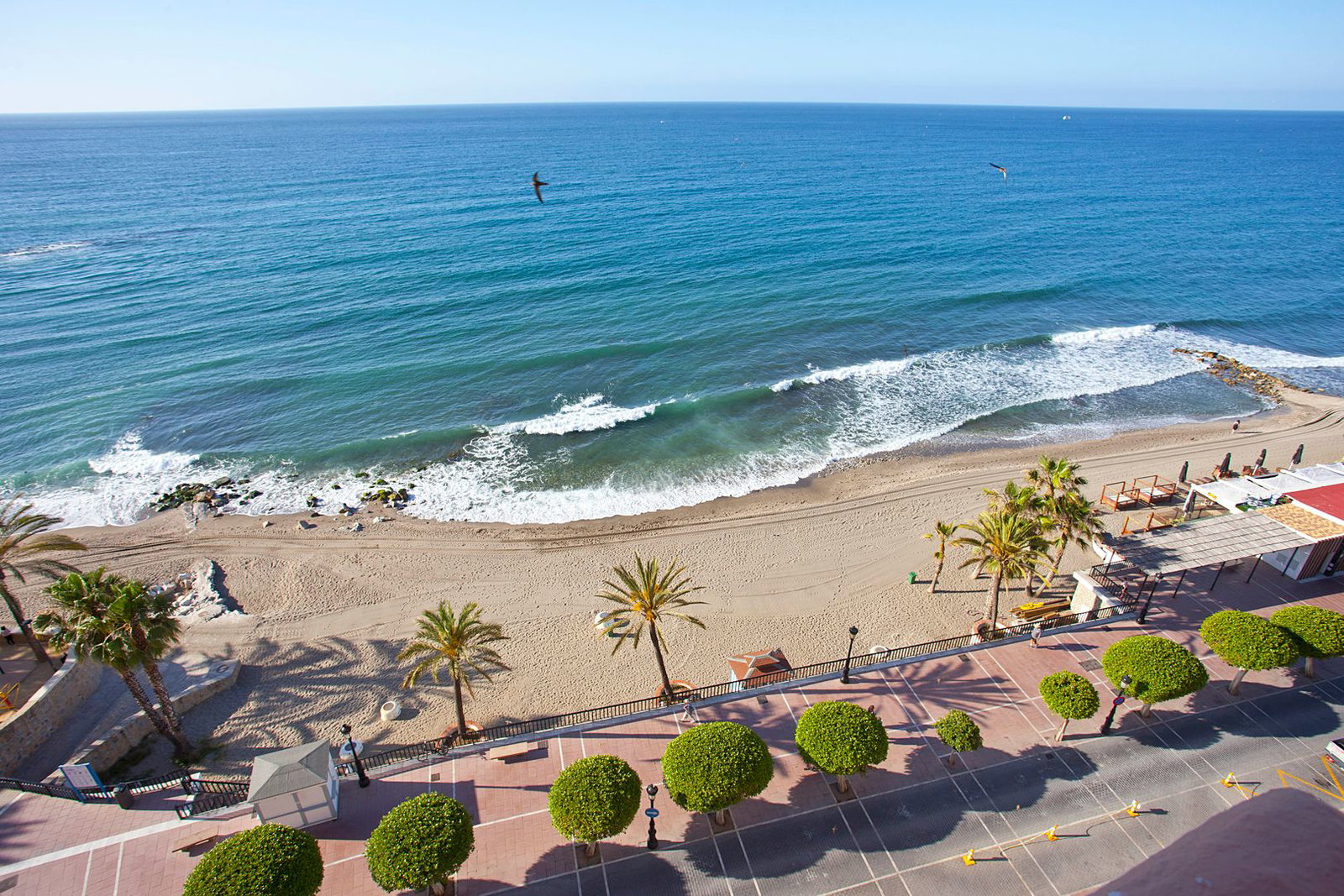 Aerial view of a sunlit sandy beach and promenade lined with palm trees, gentle blue sea waves and two seabirds