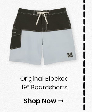Original Blocked 19" Boardshorts