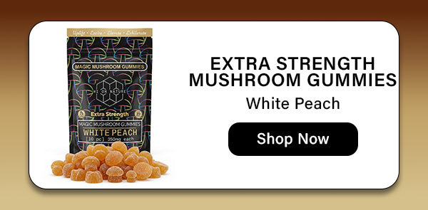 EXTRA STRENGTH MUSHROOM GUMMIES