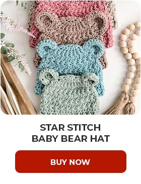 Star Stitch Baby Bear Hat