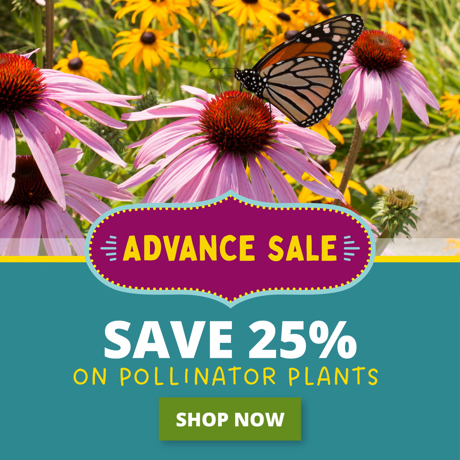 Advance sale