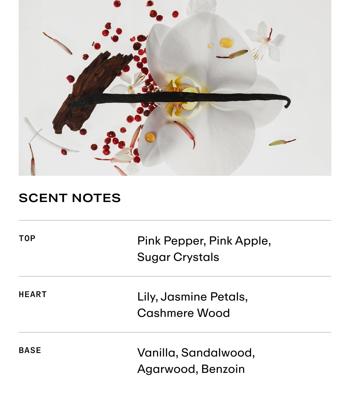 Vanilla Skin - Scent Notes