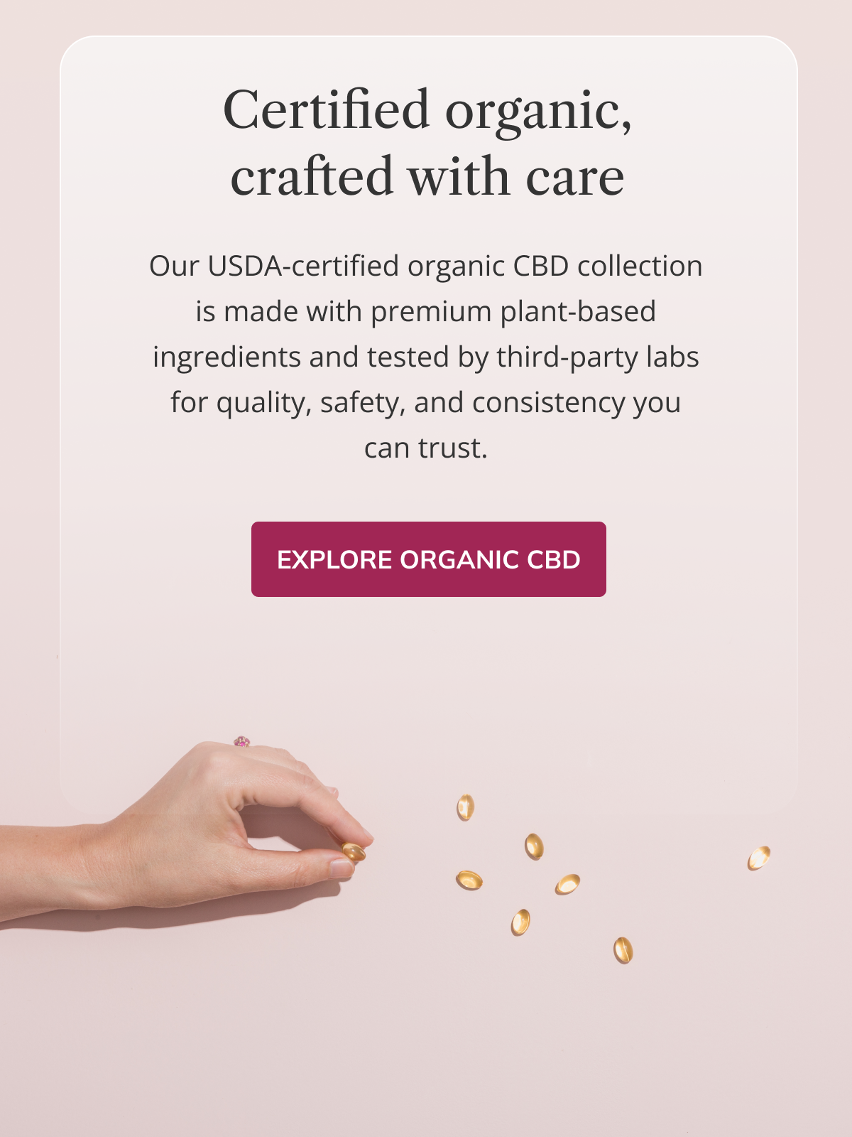 Explore Organic CBD