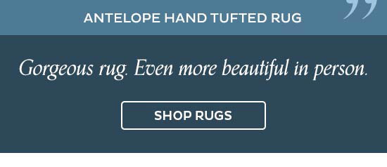 Antelope hand tufted rug - Gorgeous rug. Even more beautiful in person. - Shop Now