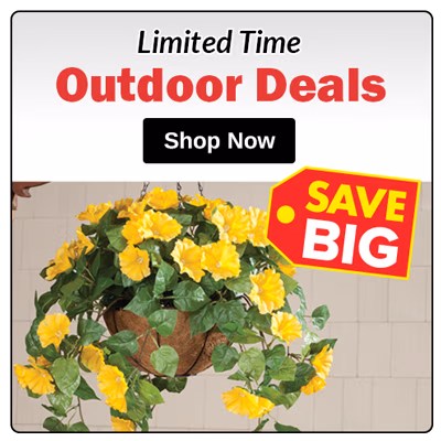 Outdoor Deals
