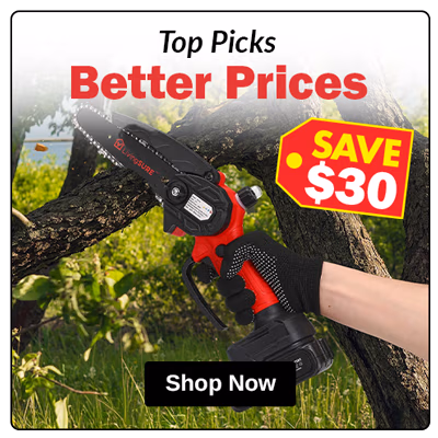 Customer Favorites