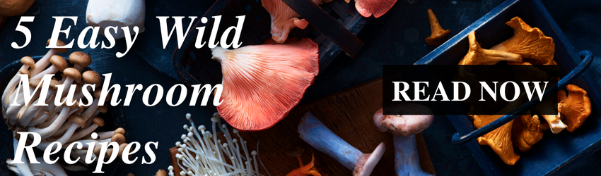 5 Easy Wild Mushroom Recipes