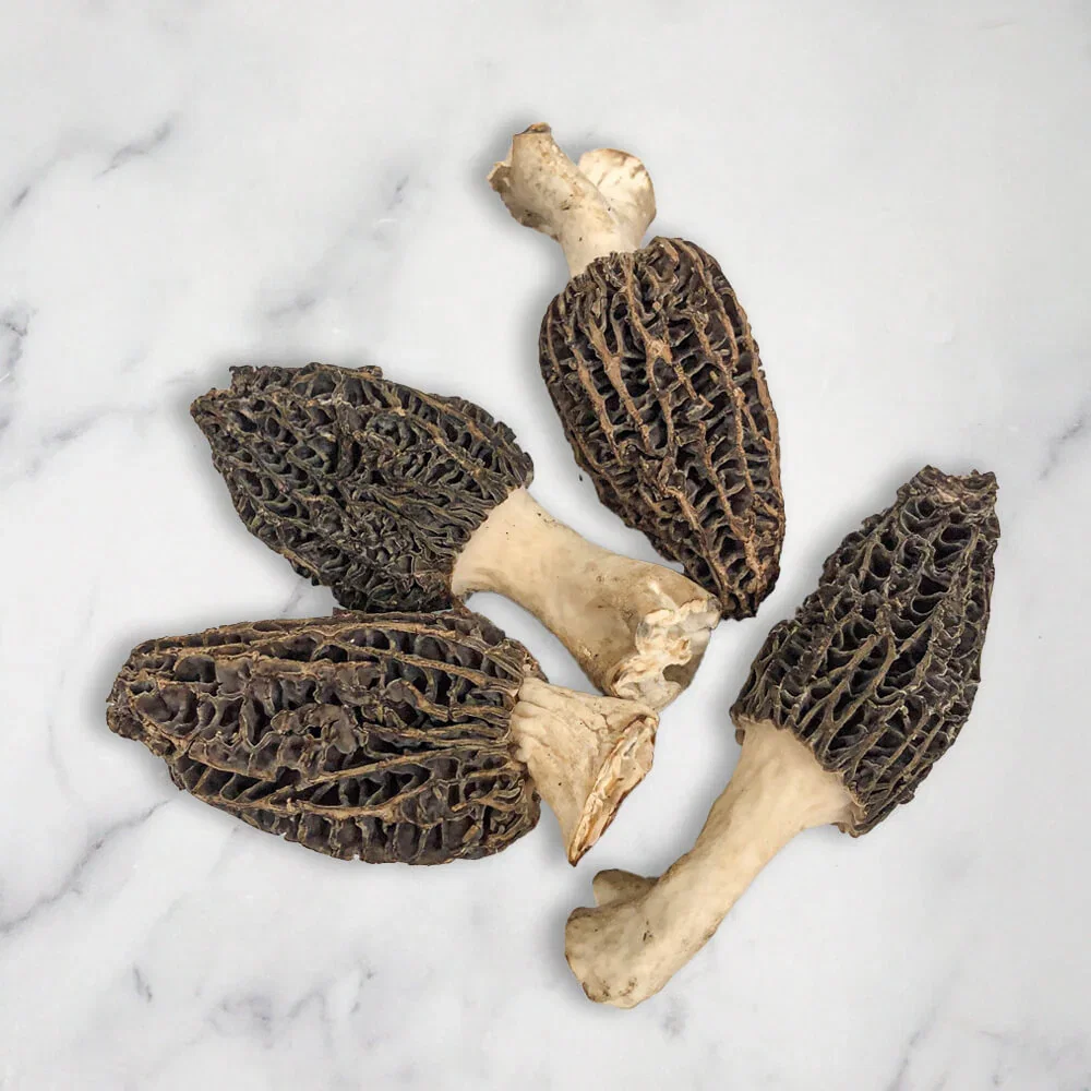 Image of Morel Mushrooms, Fresh